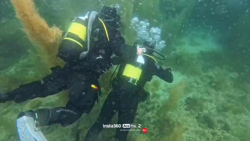 Bautismo de buceo